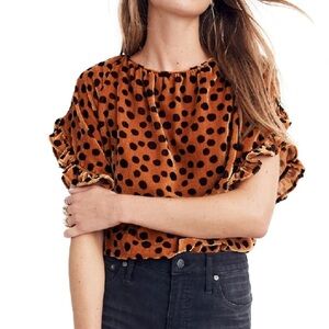 Madewell Momento, ruffle sleeve polkadot, velvet blouse